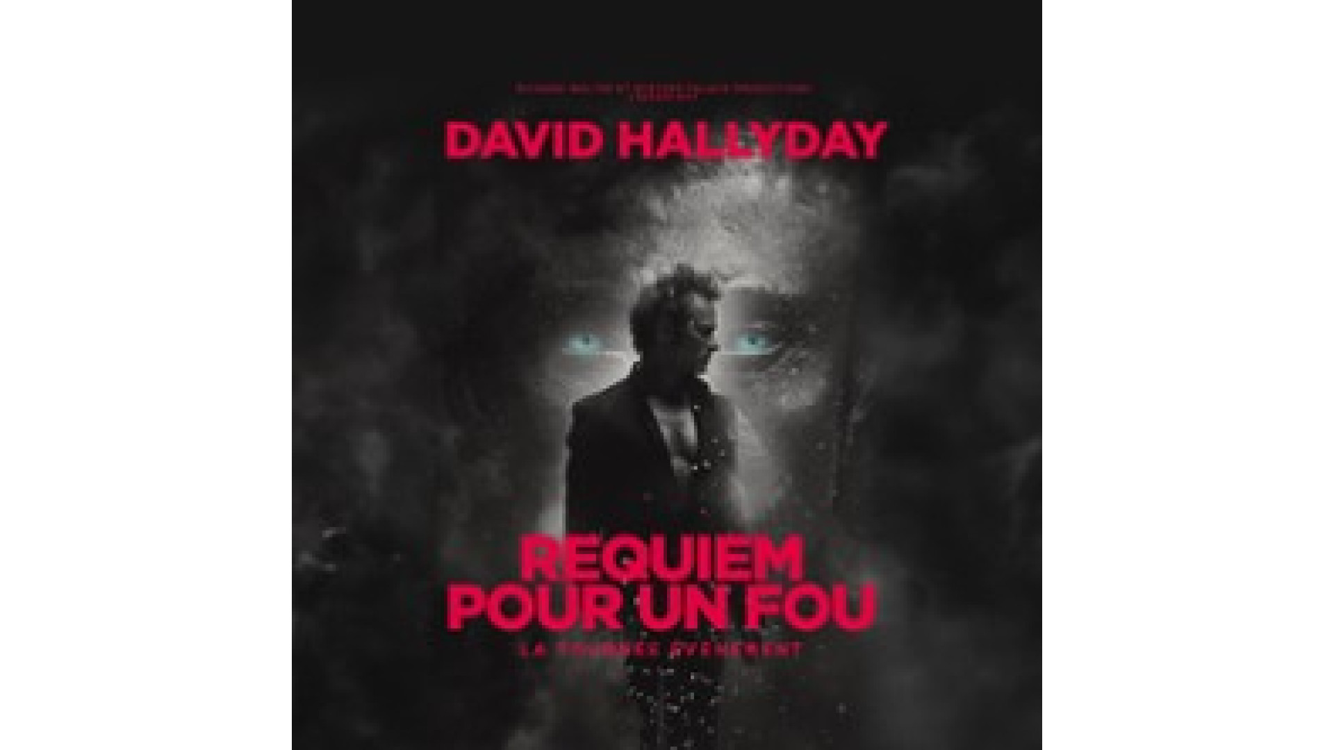 Concert David Hallyday à Lille