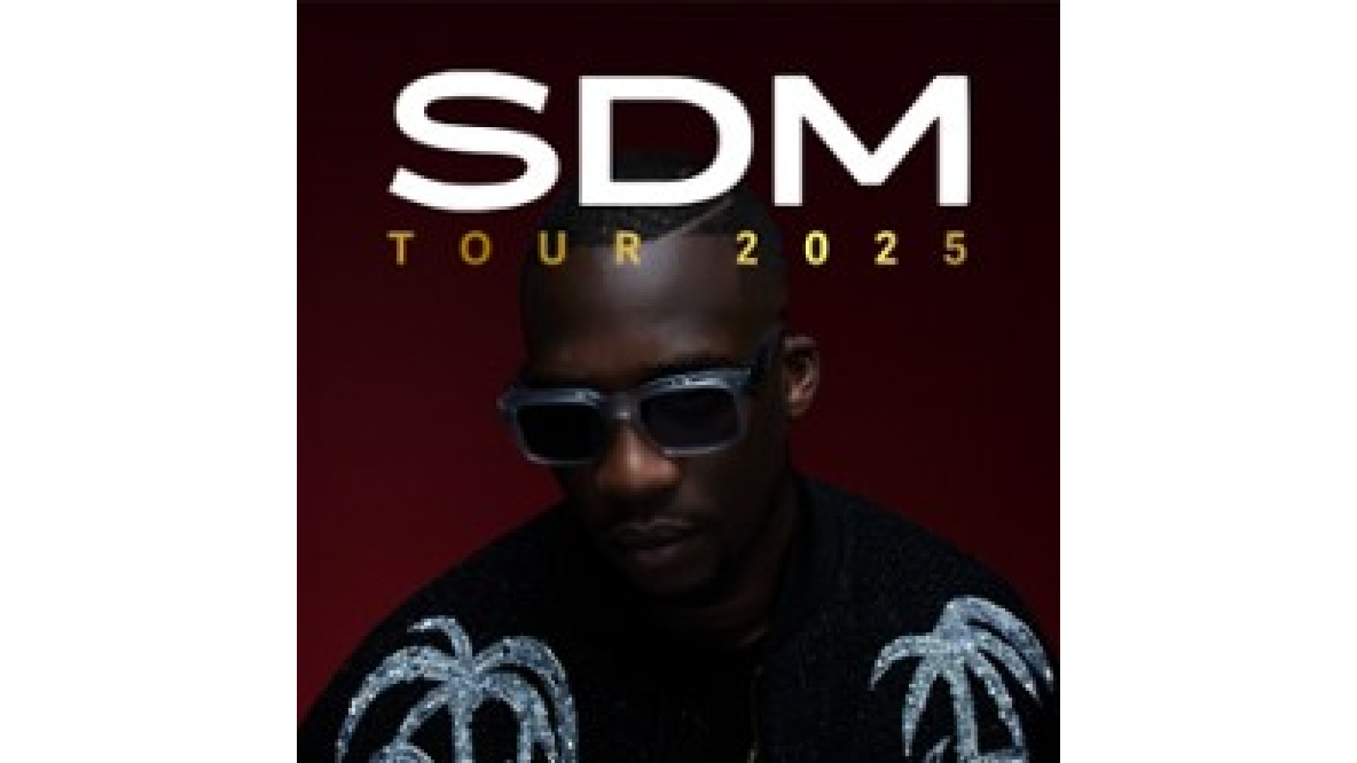 Concert Sdm à Toulouse