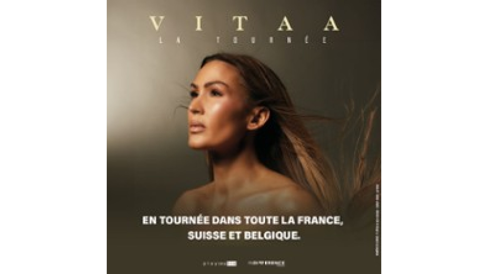 Concert Vitaa à Chartres
