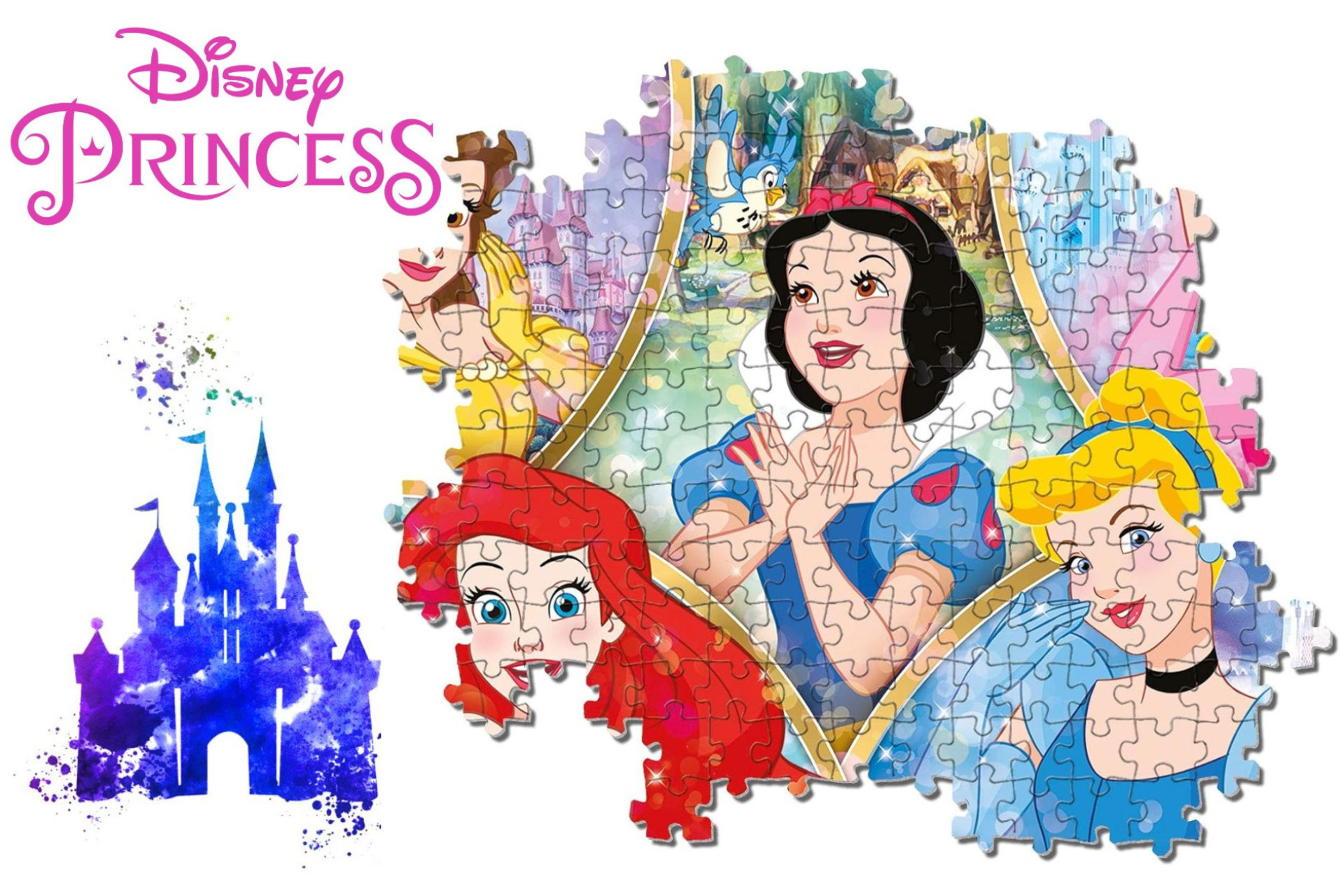 La véritable histoire des princesses Disney
