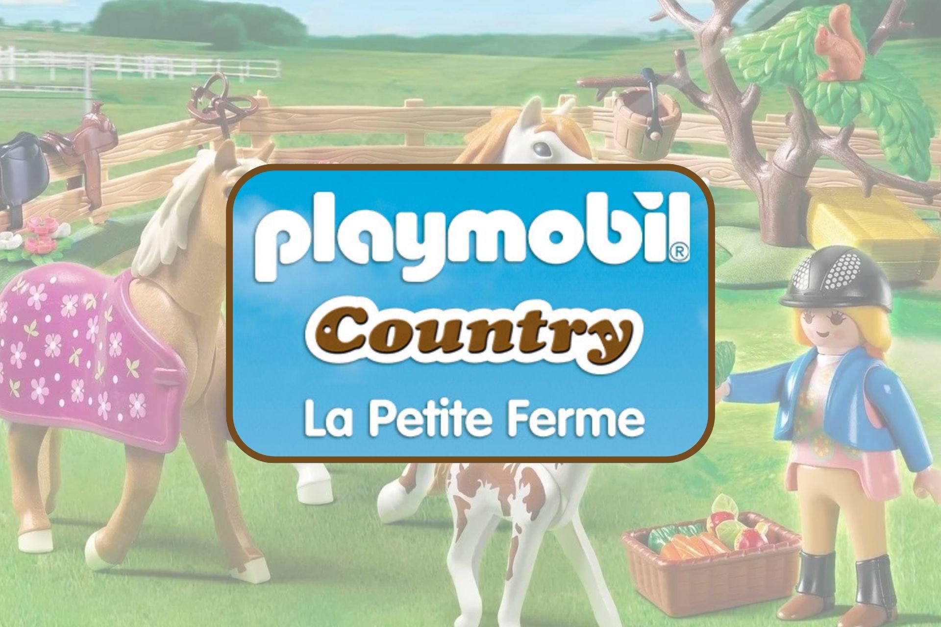 Idées de cadeaux Playmobil Country