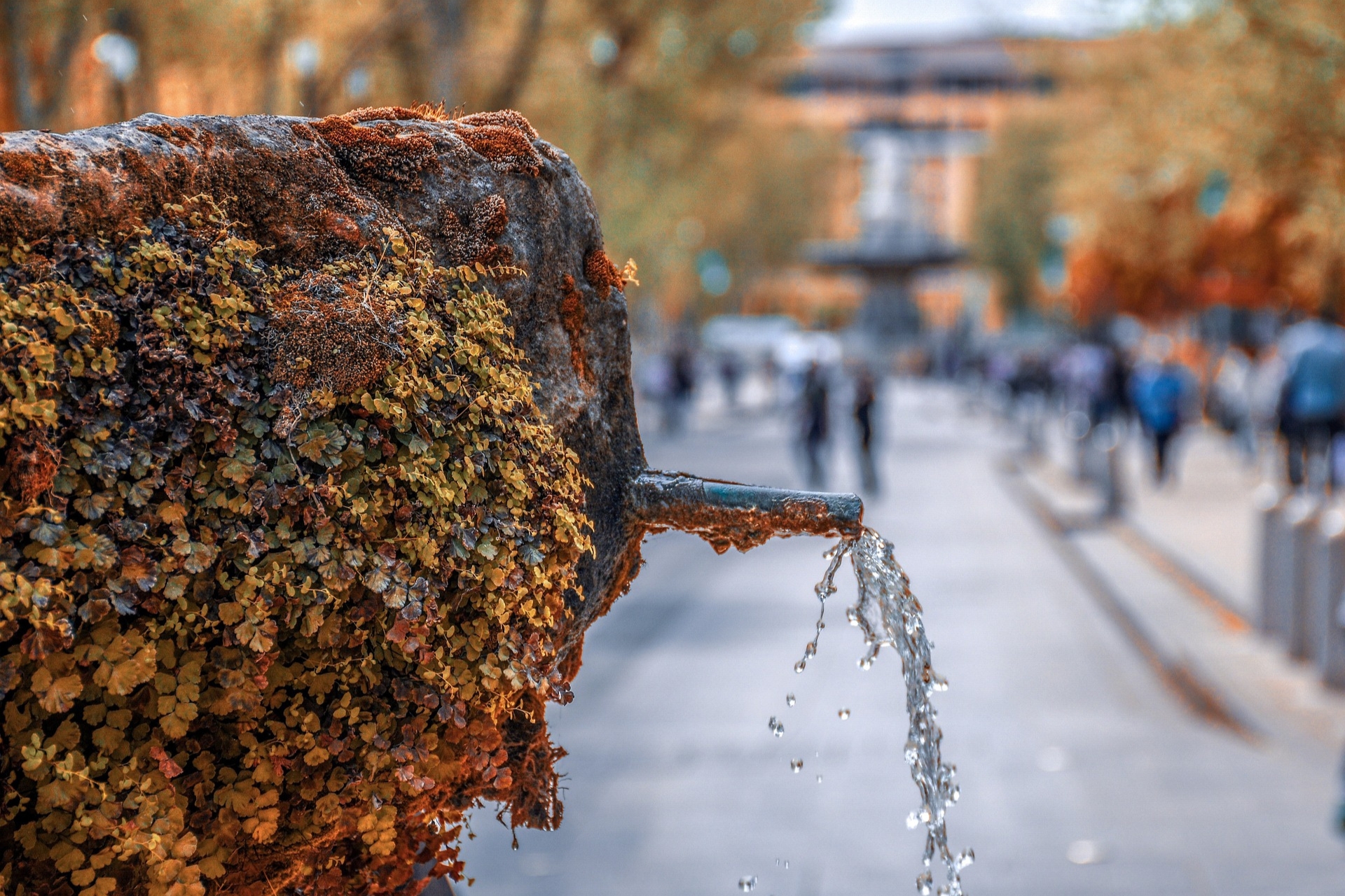 Se promenner dans les rues d'Aix-en-Provence