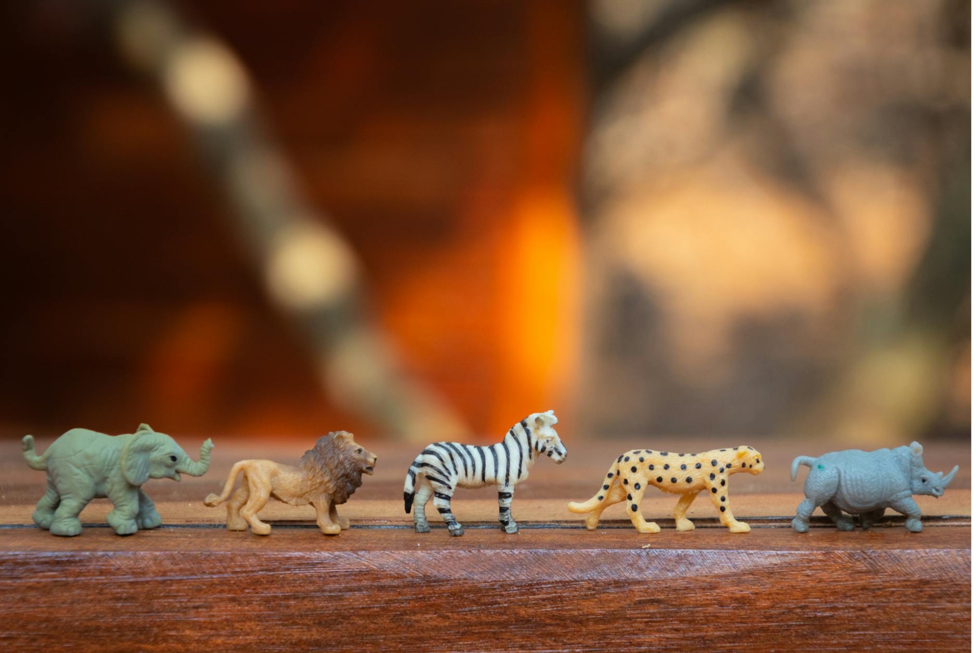 Des petits jouets : les figurines animaux