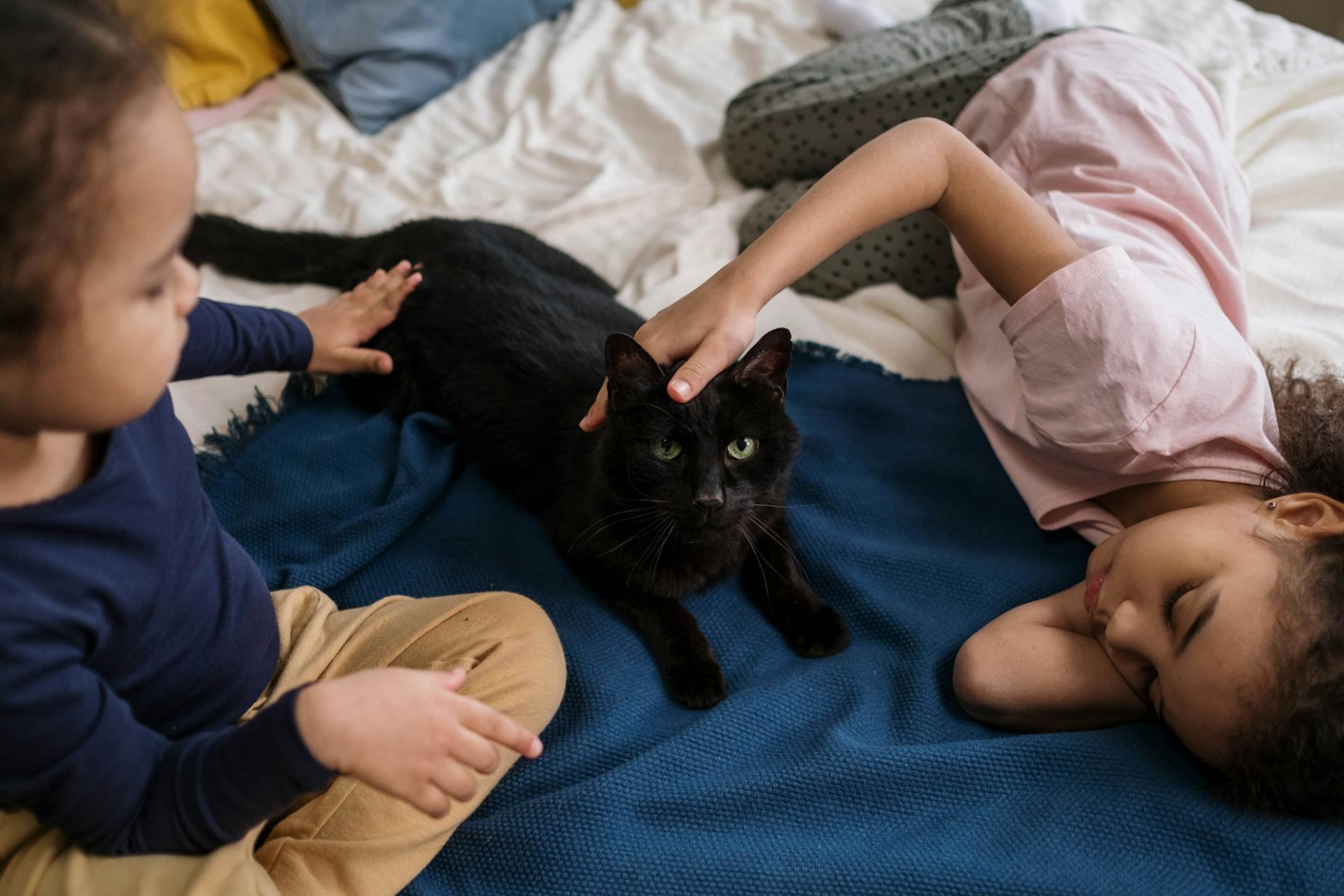 Des enfants qui font un calin à leur chat noir