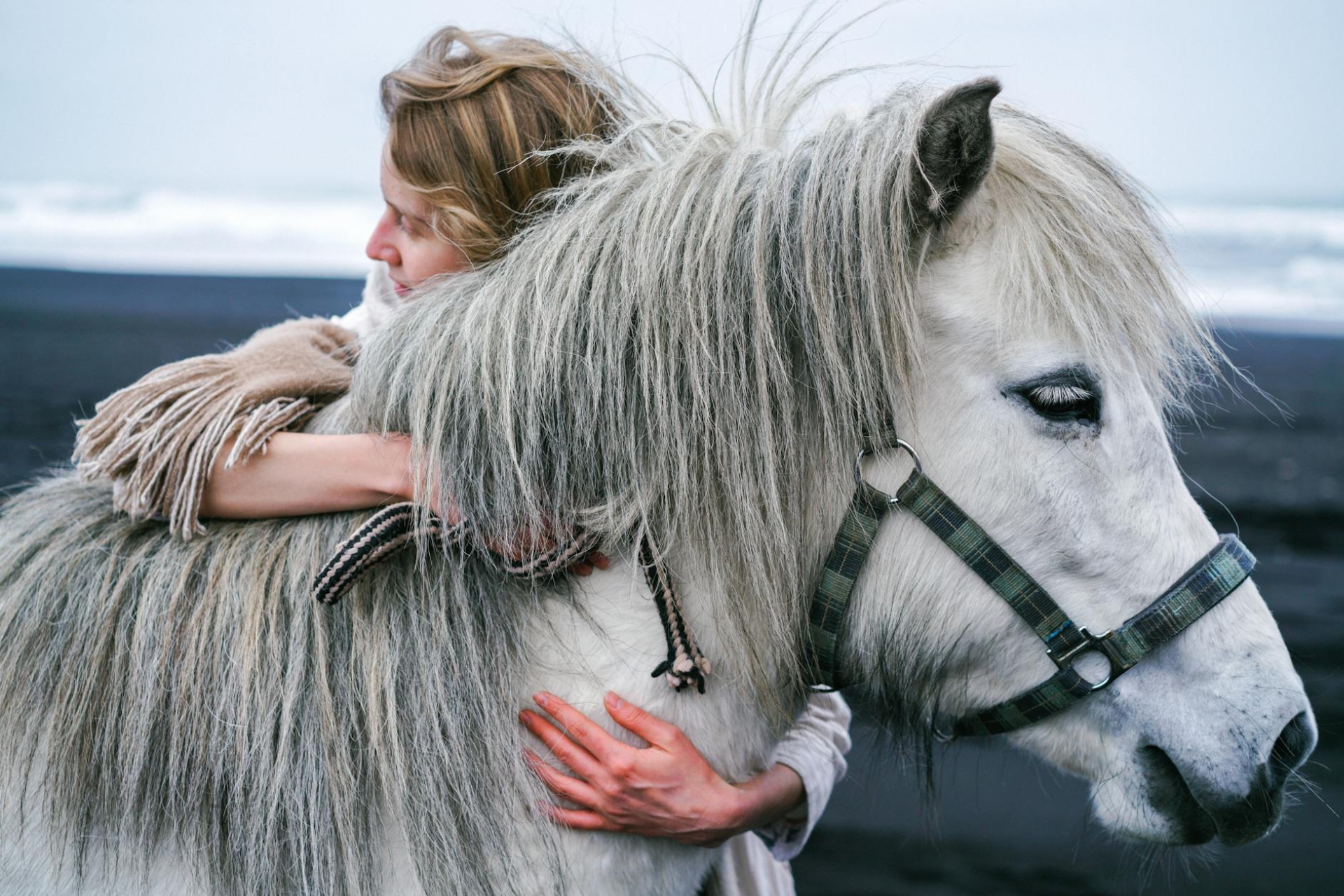 Femme qui fait un calin à un cheval