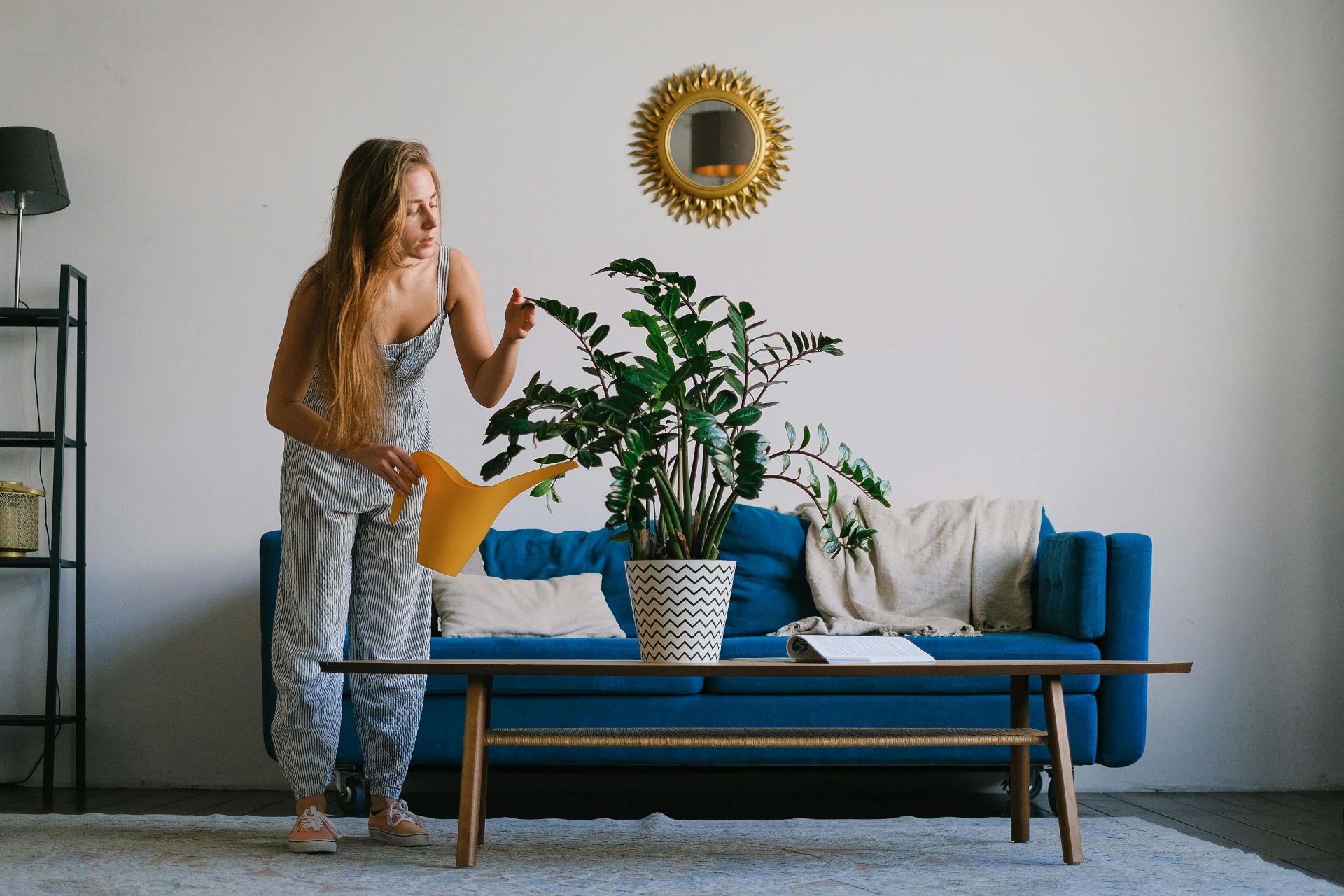 Un cadeau personnel et durable : une plante verte à domicile