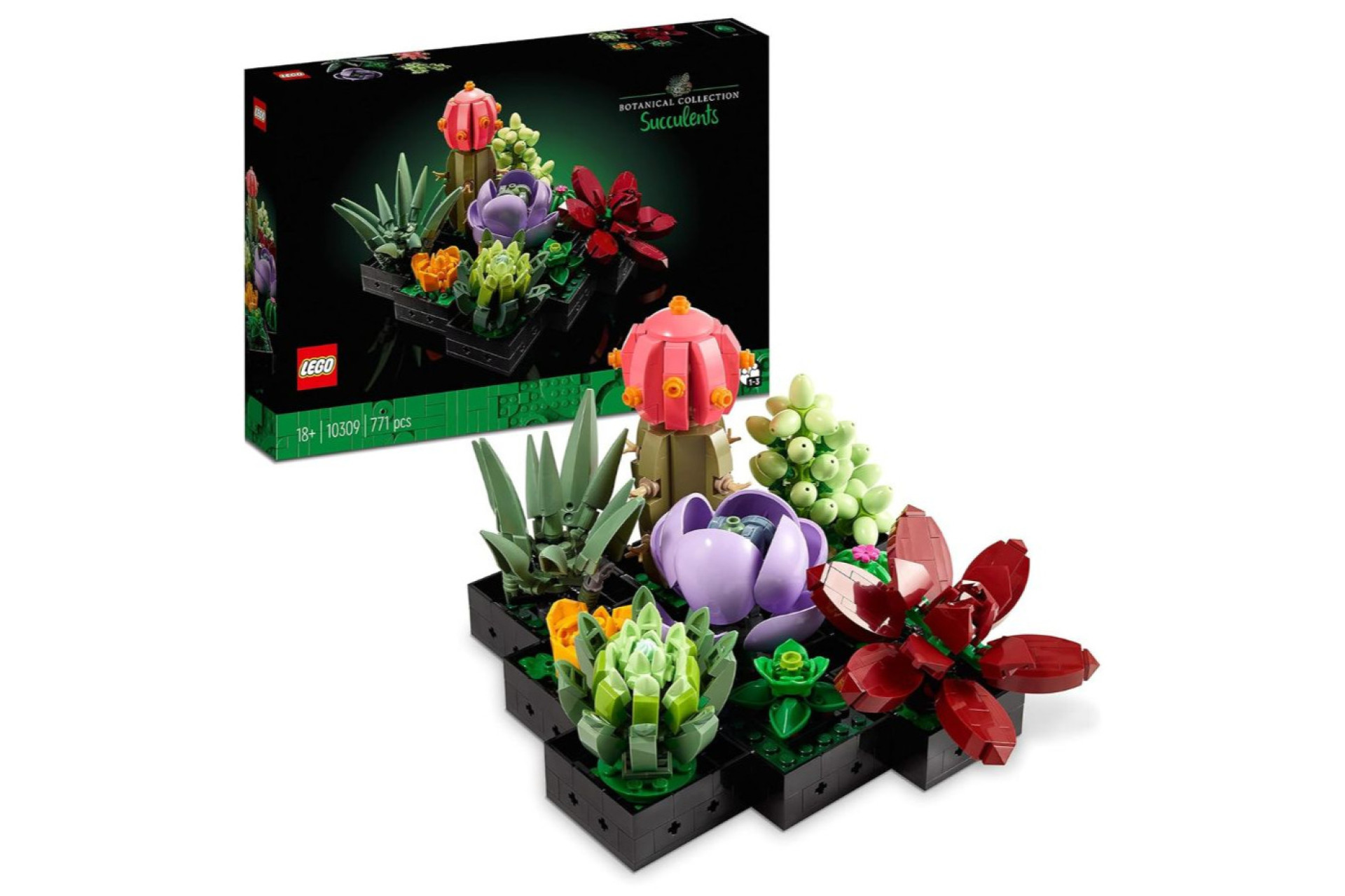 Acheter LEGO Les succulentes