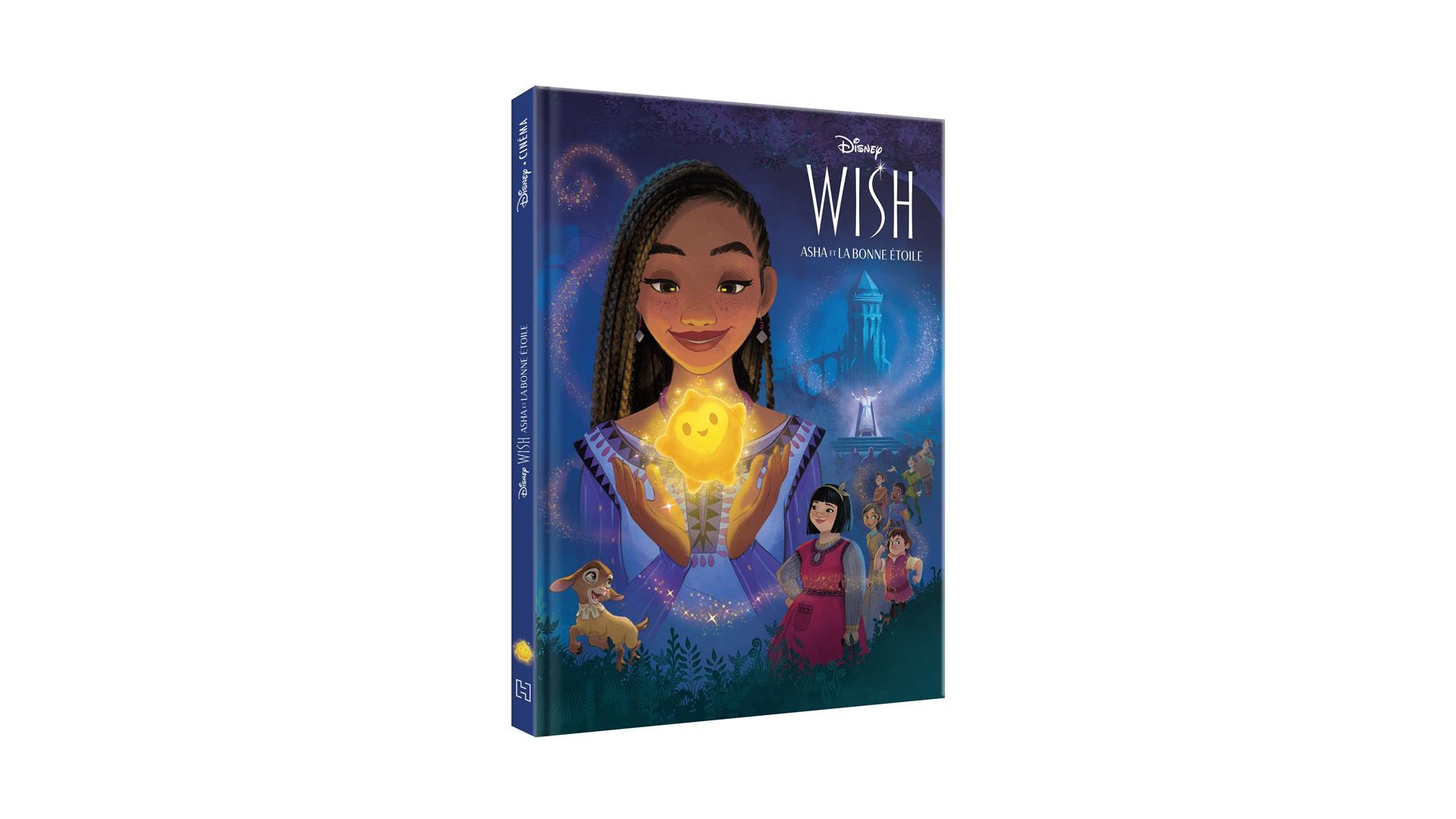 Acheter Wish, Asha Et La Bonne Étoile : L'histoire Du Film