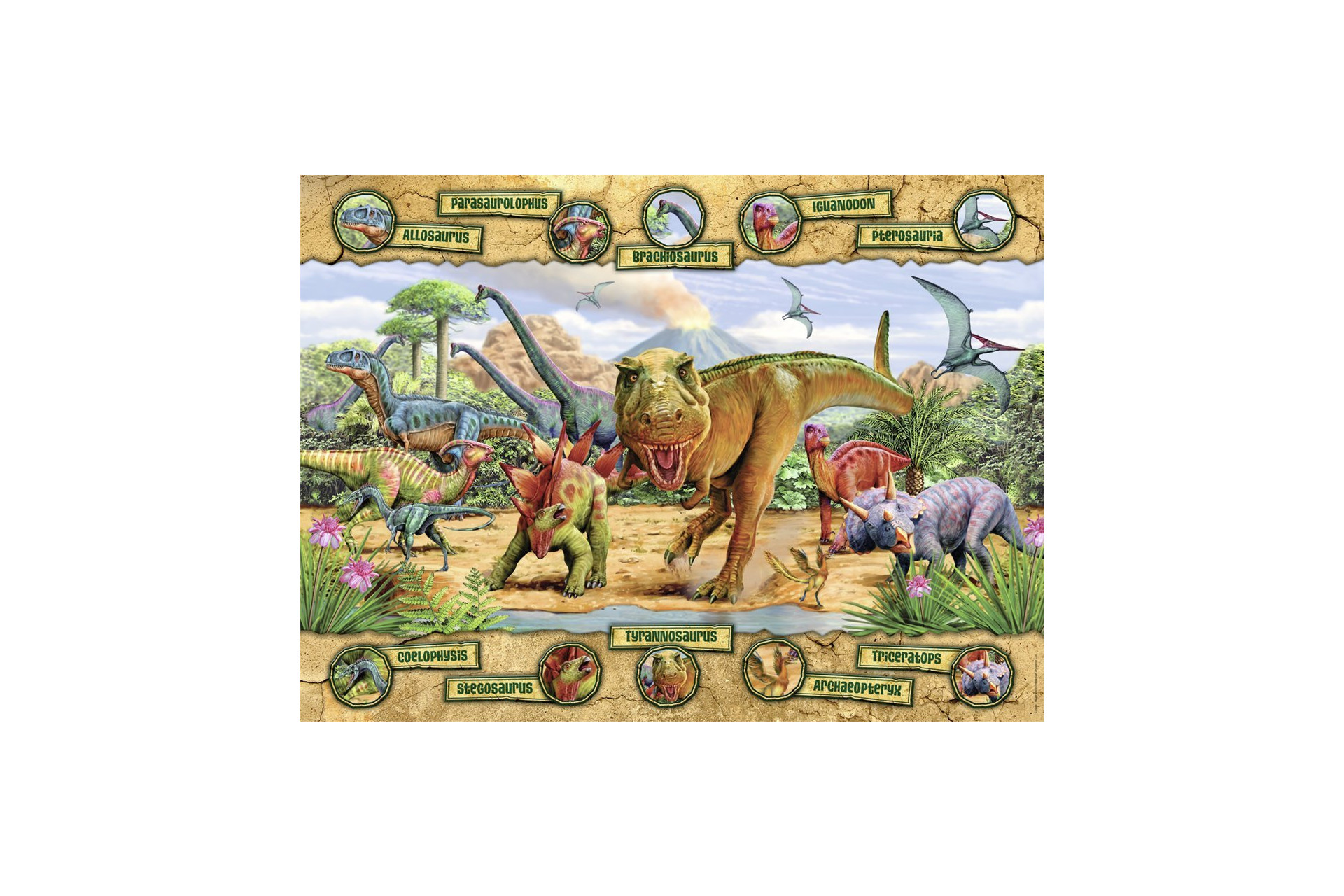 Acheter Puzzle 150 P Les Especes De Dinosaures