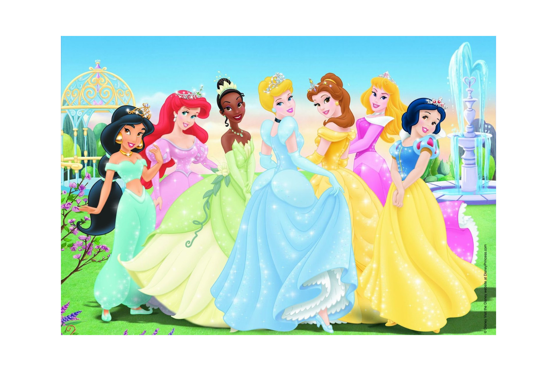 Acheter Puzzle Princesses Réunies Disney - 2 X 24 Pièces