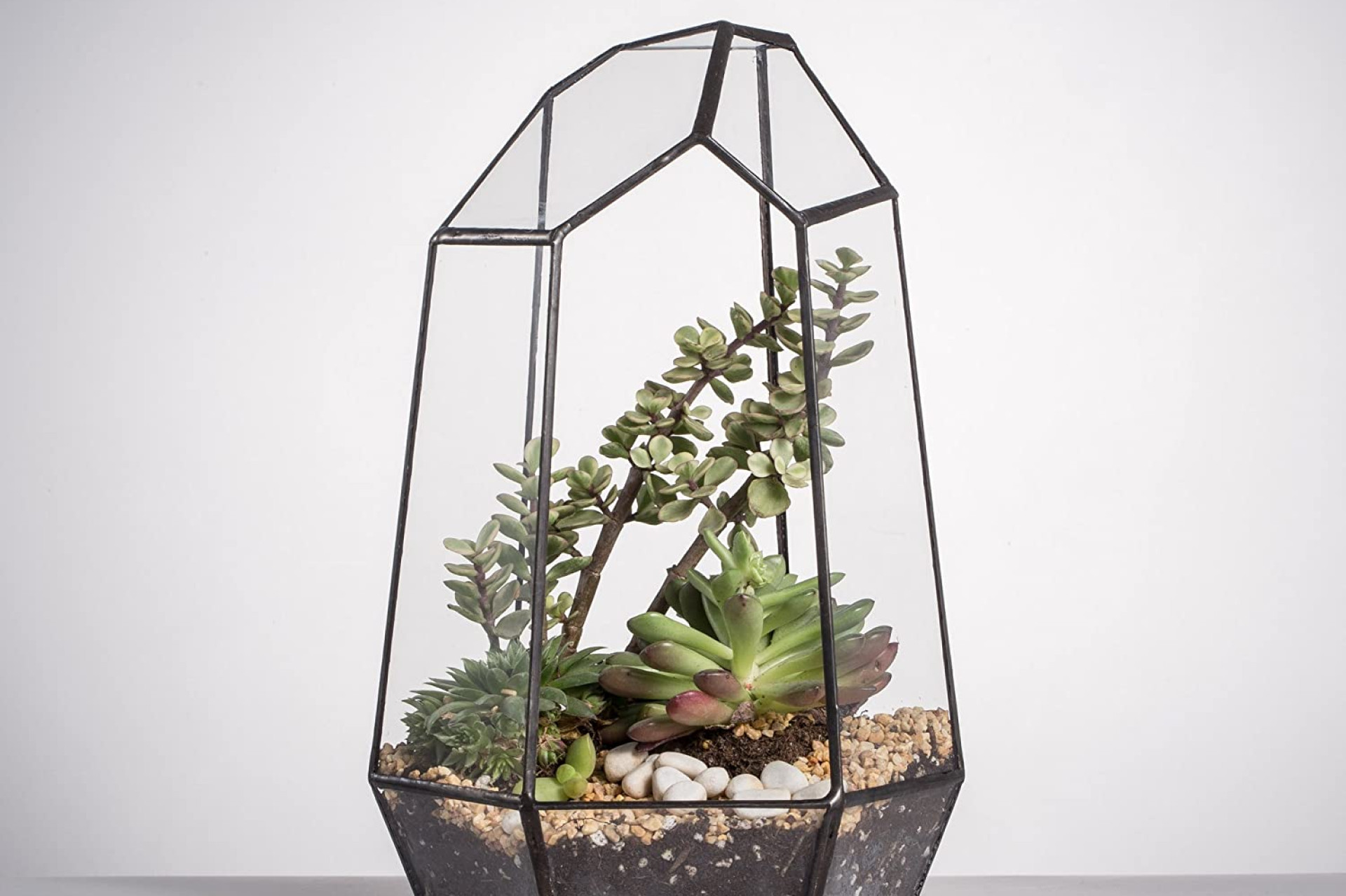 Terrarium en Verre Forme Géométrique Irrégulière 25 cm